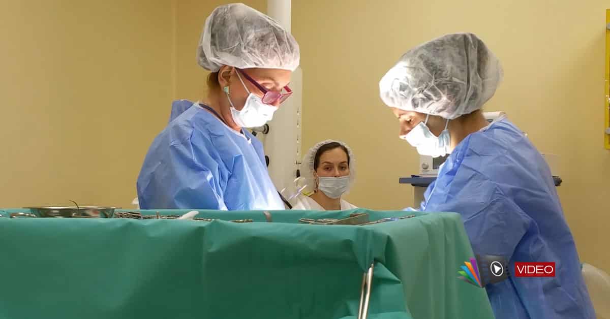 Despre conizație și histerectomie cu dr. Zorela Sgarbură